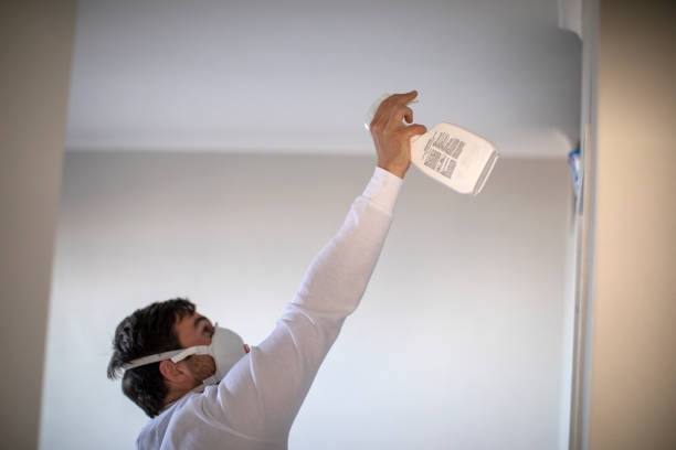 Best Black Mold Removal  in Camp Verde, AZ