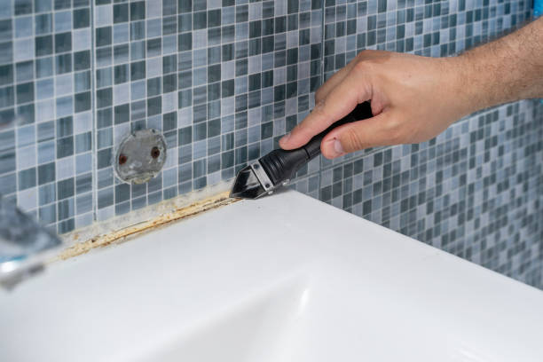 Best Emergency Mold Removal  in Camp Verde, AZ