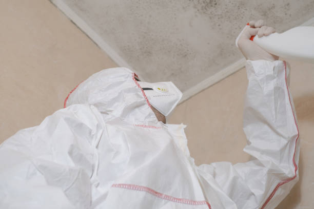 Best Crawl Space Mold Removal  in Camp Verde, AZ